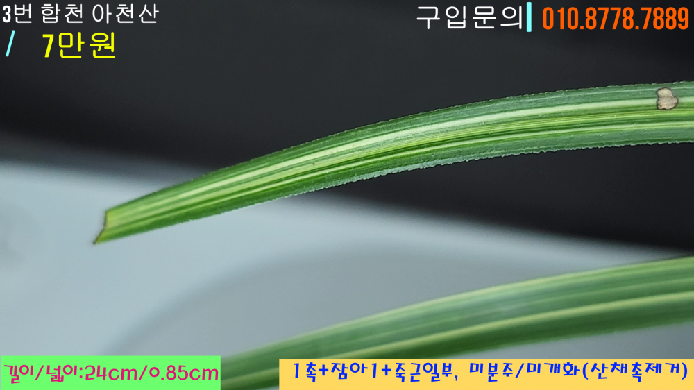 1746086009_68132879e052b.png